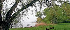 Zugänglich. In der Saison soll man bis 22 Uhr durchs Tor zum See kommen.