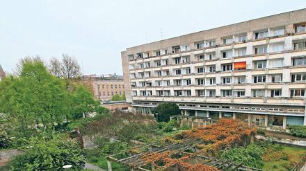 Die Oase am „Loch“. Der Staudenhof entstand als Verbindung zwischen Nikolaikirche und den DDR-Neubauten – mit der ummauerten Lkw-Anlieferzone als Störfaktor (r. im großen Bild). Landschaftsarchitektin Hiltrud Berndt (Bild unten, l.) griff für die Pergola Elemente der Fassade der Fachhochschule auf.
