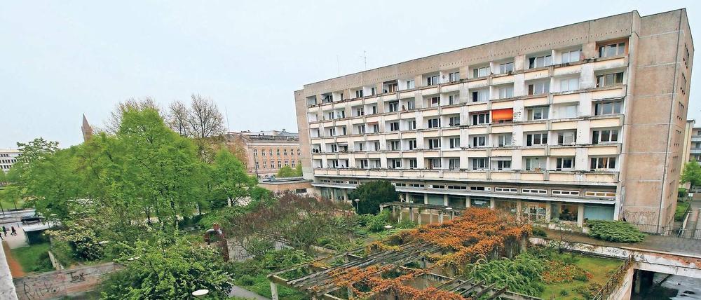 Die Oase am „Loch“. Der Staudenhof entstand als Verbindung zwischen Nikolaikirche und den DDR-Neubauten – mit der ummauerten Lkw-Anlieferzone als Störfaktor (r. im großen Bild). Landschaftsarchitektin Hiltrud Berndt (Bild unten, l.) griff für die Pergola Elemente der Fassade der Fachhochschule auf.