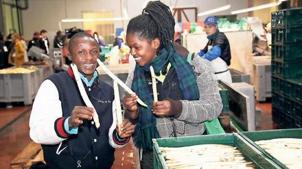 Auf Tuchfühlung. Shuwun Joshua Mafwil und Josiane Uwineza Bigaruka waren unter den afrikanischen Gästen am Spargelhof Klaistow. Bei dem Besuch ging es um Ideen für die Entwicklung des ländlichen Raumes.