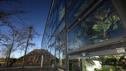 Die Biosphäre in Potsdam soll auch künftig weiterhin als Tropenhalle betrieben werden.