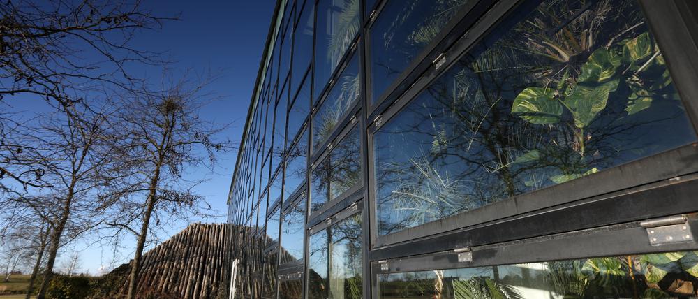 Die Biosphäre in Potsdam soll auch künftig weiterhin als Tropenhalle betrieben werden.