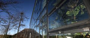 Die Biosphäre in Potsdam soll auch künftig weiterhin als Tropenhalle betrieben werden.