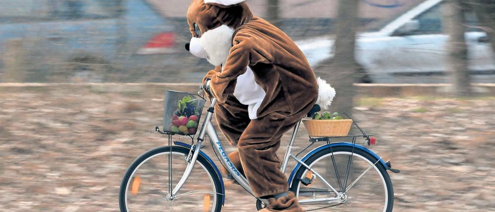 Noch schnell was zu Ostern besorgen. Wer noch keine Geschenke hat, muss sich sputen. Für alle, die vorgesorgt haben, dürfte Ostern in Potsdam entspannt werden. Vielerorts gibt es bunte Osterfeste, Osterfeuer und andere Veranstaltungen.