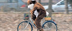 Noch schnell was zu Ostern besorgen. Wer noch keine Geschenke hat, muss sich sputen. Für alle, die vorgesorgt haben, dürfte Ostern in Potsdam entspannt werden. Vielerorts gibt es bunte Osterfeste, Osterfeuer und andere Veranstaltungen.