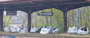 Abgekoppelt. An den oberen Bahnsteigen in der Pirschheide liegen keine Gleise mehr. Jetzt soll die Stahlträgerkonstruktion abgebaut werden, ehe bis 2022 neue Bahnsteige folgen.