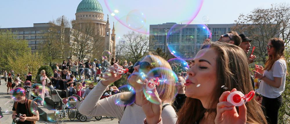 Es war der sechste Seifenblasen-Flashmob in Potsdam.