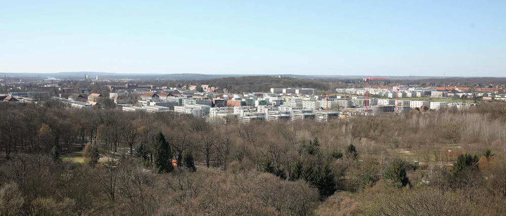Im Bornstedter Feld leben 3000 Kinder und Jugendliche. Ein Jugendtreff fehlt immer noch.