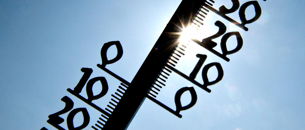 Am Samstag werden in Potsdam mehr als 20°C erwartet.