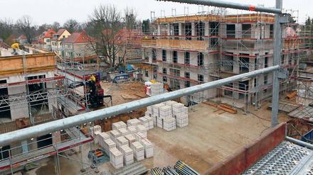 Noch grau. Bald sollen zwischen den vier Stadtvillen Wiesen, Obstbäume und Hecken entstehen. Das Grundstück haben die Investoren von der Bima gekauft, 3,5 Millionen wollte die Bundesanstalt dafür haben. Wie viel die Investoren nun in die Neubauten stecken, teilten sie nicht mit.