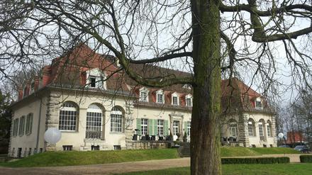 Verdis Oper "Nabucco" wird im August im Schloss Kartzow zu hören sein.