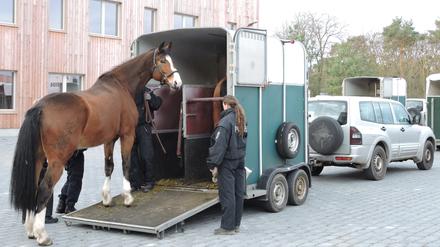 Das neue Domizil in Stahnsdorf.