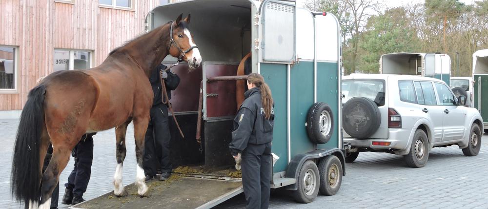 Das neue Domizil in Stahnsdorf.