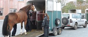 Das neue Domizil in Stahnsdorf.