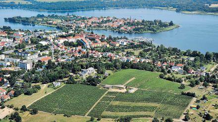 Wein, Wasser, Werder. Die Blütenstadt feiert in diesem Jahr ihr 700. Jubiläum.