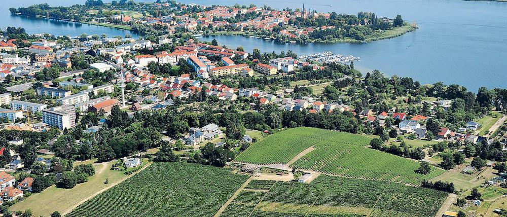 Wein, Wasser, Werder. Die Blütenstadt feiert in diesem Jahr ihr 700. Jubiläum.