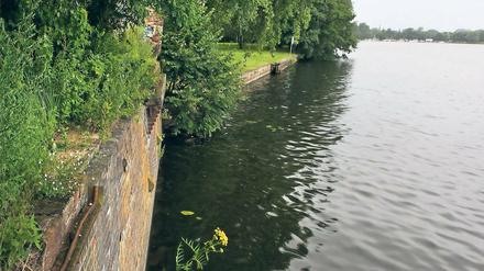 Nun doch. Von der Speicherstadt aus soll über das Gelände des Wasserwerks (im hinteren Teil des Bildes) ein Uferweg nach Hermannswerder führen. Lange stand das Projekt auf der Kippe.