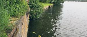 Nun doch. Von der Speicherstadt aus soll über das Gelände des Wasserwerks (im hinteren Teil des Bildes) ein Uferweg nach Hermannswerder führen. Lange stand das Projekt auf der Kippe.