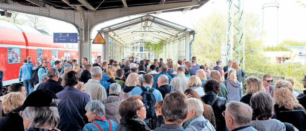 Gut besucht. Besonders zum Baumblütenfest wird der Werderaner Bahnhof von Touristen genutzt. Doch auch wenn nicht Baumblüte gefeiert wird, ist der Bahnhof der am stärksten frequentierte Regionalbahnhof in Potsdam-Mittelmark. Durch einen Intercity-Halt könnte er noch einmal aufgewertet werden.