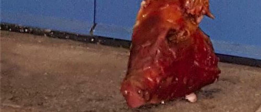 Der Schweinskopf wurde am 1. Oktober um 21.50 Uhr an der Tür zum Gebetsraum des Moschee-Vereins entdeckt.