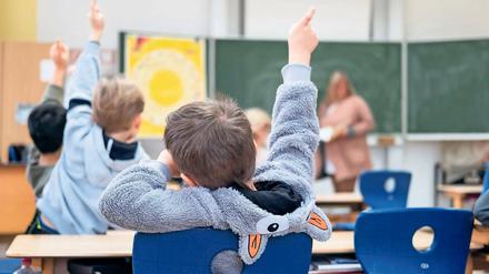 Lernort. Eigentlich sollen Grundschüler täglich mehrere Stunden unterrichtet werden. Doch Stundenausfall durch Engpässe beim Lehrpersonal gibt es auch in Potsdam – akut an der Waldstadt-Grundschule. Der Kreiselternrat fordert eine größere Vertretungsreserve.