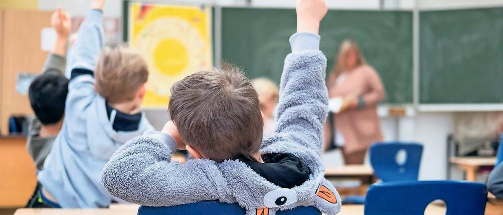 Lernort. Eigentlich sollen Grundschüler täglich mehrere Stunden unterrichtet werden. Doch Stundenausfall durch Engpässe beim Lehrpersonal gibt es auch in Potsdam – akut an der Waldstadt-Grundschule. Der Kreiselternrat fordert eine größere Vertretungsreserve.