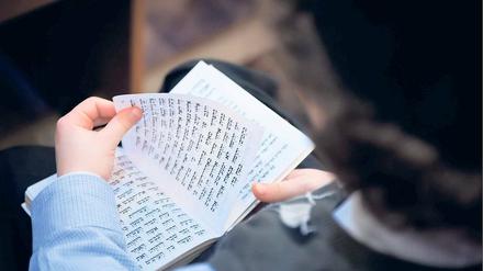 Querstruktur. Die jüdische Theologie wurde quer zu den anderen Disziplinen an der Potsdamer Uni etabliert werden. Zusammen mit christlicher und islamischer Theologie entsteht nun ein breites Forum.