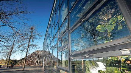 Teurer Stahl, teurer Beton. Fast 50 Millionen Euro hat die zur Bundesgartenschau 2001 errichtete Buga-Halle gekostet. Seit zehn Jahren wird sie als Biosphäre von der Stadt betrieben – ein Verlustgeschäft. Dennoch will die Stadt das Gebäude als Tropenhalle erhalten, mit einem neuen, attraktiveren Konzept.