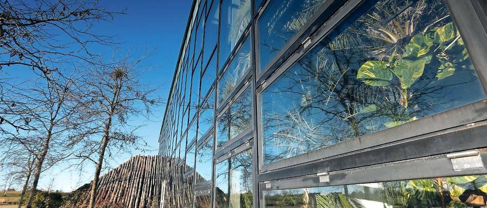 Teurer Stahl, teurer Beton. Fast 50 Millionen Euro hat die zur Bundesgartenschau 2001 errichtete Buga-Halle gekostet. Seit zehn Jahren wird sie als Biosphäre von der Stadt betrieben – ein Verlustgeschäft. Dennoch will die Stadt das Gebäude als Tropenhalle erhalten, mit einem neuen, attraktiveren Konzept.