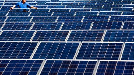 Eine Photovoltaik-Anlage in Frankfurt (Oder). Solarmoduldiebe schlugen auch in Brandenburg immer wieder zu.