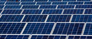 Eine Photovoltaik-Anlage in Frankfurt (Oder). Solarmoduldiebe schlugen auch in Brandenburg immer wieder zu.