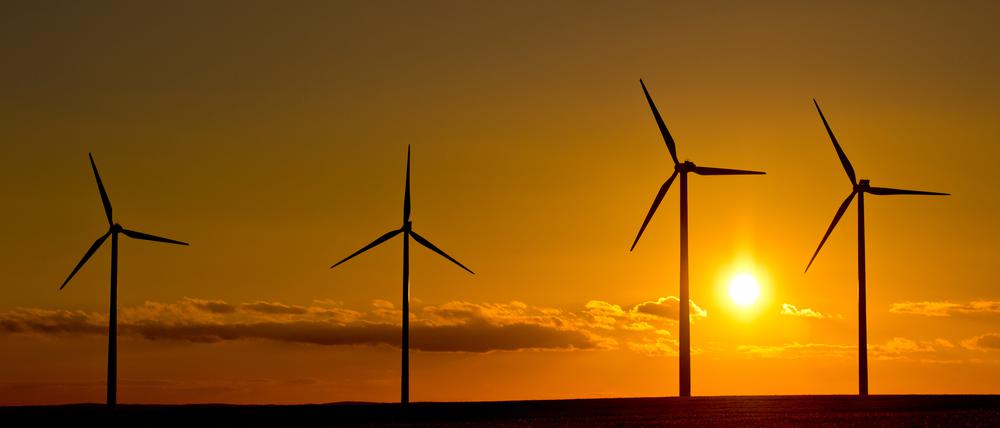 Um erneuerbare Energien voll nutzen zu können, fehlten derzeit in Deutschland jedoch weiter Netze für den Stromtransport und Speicher für die Zwischenlagerung überschüssiger Energie, sagte Brandenburgs Wirtschaftsminister Albrecht Gerber (SPD).