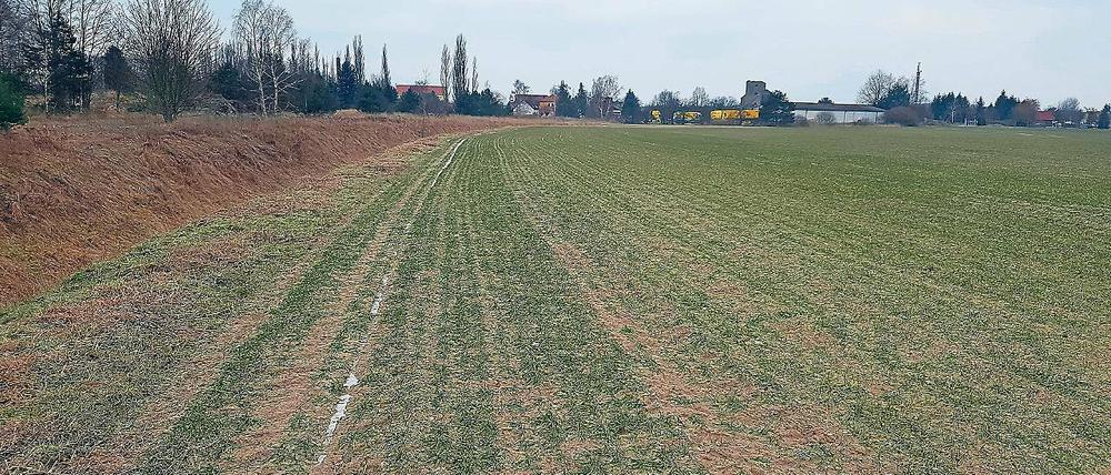 Angepeiltes Gelände. Auf diesem Acker nahe dem Ort am Rande des Spreewalds wollen Flughafen-Betriebschef Elmar Kleinert und ein befreundeter Hobbyflieger ihre Kleinmaschinen starten.