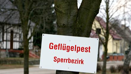 Um den Putenbetrieb wurde ein Sperrkreis von drei Kilometern eingerichtet.