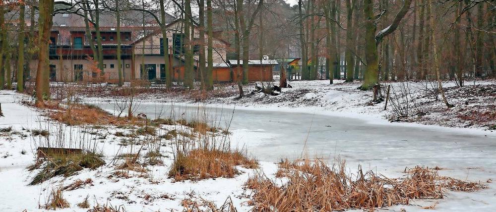 Gefrorene Trockenheit. Der Meiereipfuhl Am Fenn droht trocken zu fallen. Derzeit ist das verbliebene Wasser gefroren, das Eis kaschiert den Tiefstand. Der Pfuhl war schon saniert worden und speist sich nun ausschließlich aus Regenwasser.