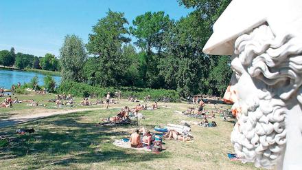 Versteppte Wiesen. Die Schäden, die von Picknickern im Neuen Garten angerichtet werden, haben an Umfang dramatisch zugenommen.