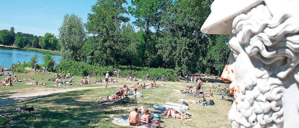 Versteppte Wiesen. Die Schäden, die von Picknickern im Neuen Garten angerichtet werden, haben an Umfang dramatisch zugenommen.