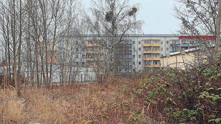 Der Bedarf wächst. Auf einem früheren Kaufhallen-Grundstück an der Albert-Wiebach-Straße in Teltow plant die städtische Wohnungsbaugenossenschaft TWG einen Neubaublock mit 50 neuen Wohnungen. Experten empfehlen der Stadt, weitere Grundstücke für den Wohnungsbau zu erwerben.