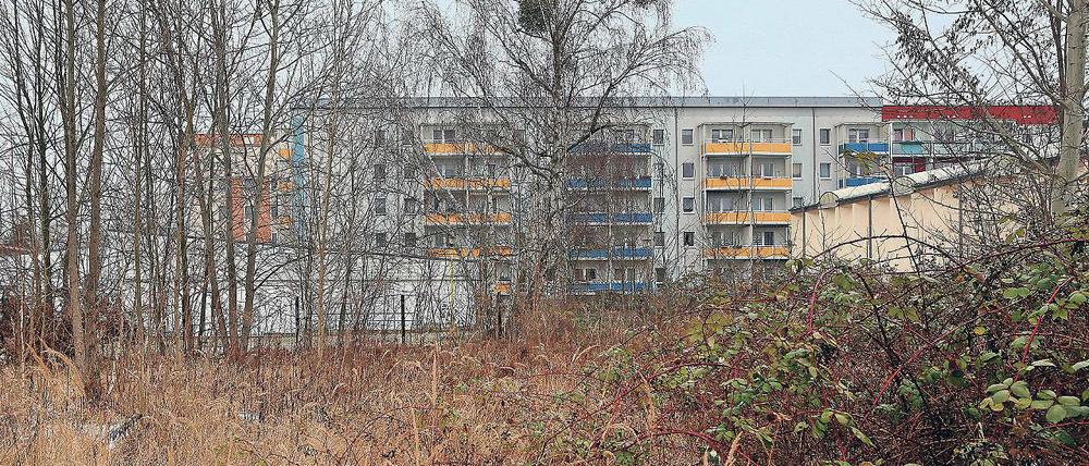 Der Bedarf wächst. Auf einem früheren Kaufhallen-Grundstück an der Albert-Wiebach-Straße in Teltow plant die städtische Wohnungsbaugenossenschaft TWG einen Neubaublock mit 50 neuen Wohnungen. Experten empfehlen der Stadt, weitere Grundstücke für den Wohnungsbau zu erwerben.