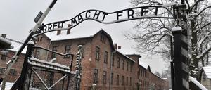 Das KZ Auschwitz-Birkenau.