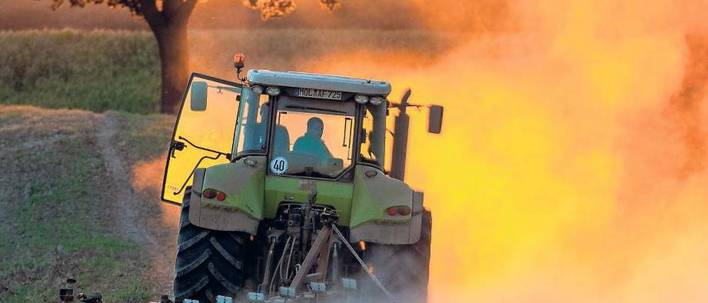Romantisches Landleben? Der Beruf des Bauern ist bei Jugendlichen wieder beliebter. In Groß Kreutz gibt es so viele Azubis wie seit Jahren nicht mehr.