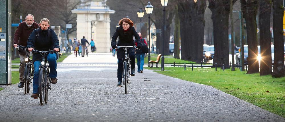 Der Mittelstreifen auf der Hegelallee sei auch eine Falle für Radler, so das Gericht – weil sie bei Unfällen zu 100 Prozent haften.