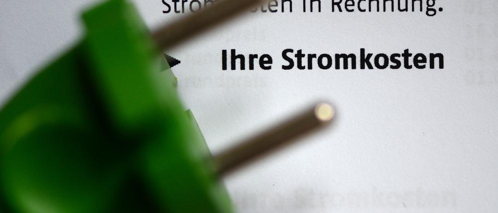 Die Netzentgelte machen rund ein Viertel der Stromkosten aus.