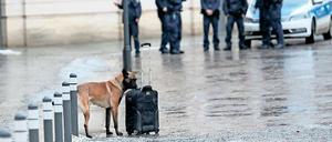 Keine Gefahr. Der verdächtige Koffer auf dem Alten Markt war harmlos.