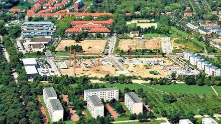 Bauen für günstige Mieten. Wie hier in der August-Bonnes-Straße am Bornstedter Feld soll das Bauen durch das neue Förderprogramm für weitere Investoren interessant werden. Doch niedrige Zinsen stehen derzeit dagegen.