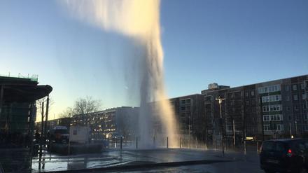 Wie ein Geysir. Eine Havarie in Drewitz sorgte für eine meterhohe Wasserfontäne.