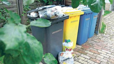 Teurer Müll. Die Potsdamer Stadtentsorgung hebt ihre Preise an, genauso wie der städtische Stromversorger und das Nahverkehrsunternehmen. Doch an anderer Stelle wird es günstiger – etwa beim Gas.