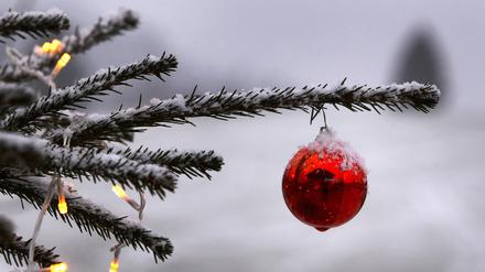 Schnee wird es an den Weihnachtsfeiertagen in Brandenburg nicht geben.