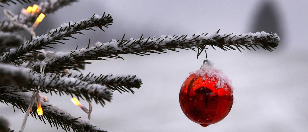 Schnee wird es an den Weihnachtsfeiertagen in Brandenburg nicht geben.
