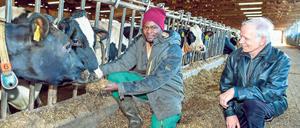 Aus Kamerun nach Bandelow. Der 28-jährige Flüchtling Devisme Jackson hat in seiner Heimat eigentlich Bauingenieur gelernt. Bei seinem neuen Chef Pieter Wolters repariert er jetzt Ställe, bedient den Melkstand, mistet aus und büffelt für den Führerschein.